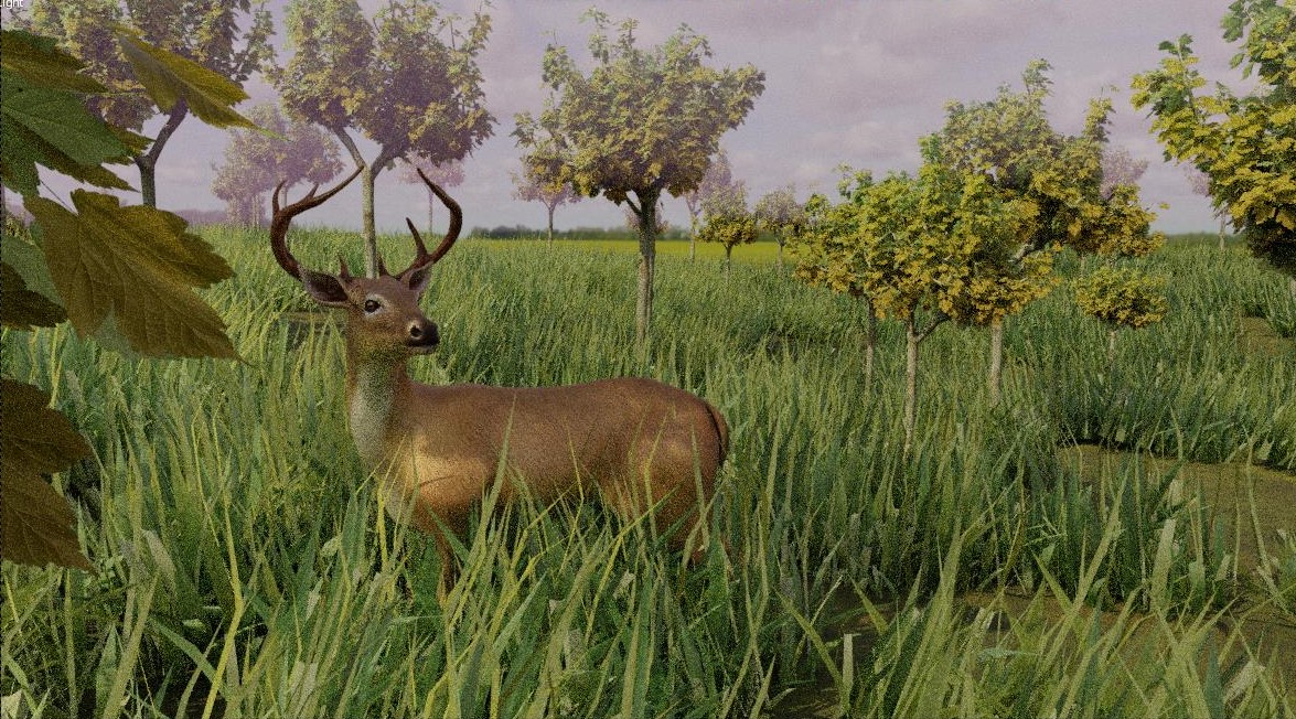 Environment Design 2